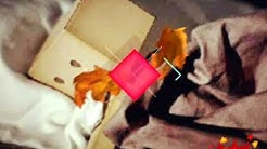 Papinka-Bertahan - Durasi: 3:59. Papinka-Bertahan - Durasi: 3:59.