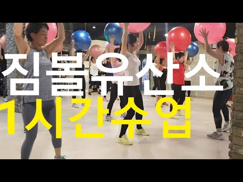 짐볼운동 / 짐볼유산소 1시간 수업영상 /gym ball