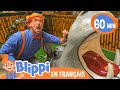 Blippi  la dcouverte des animaux  blippi en franais  vidos ducatives pour enfants