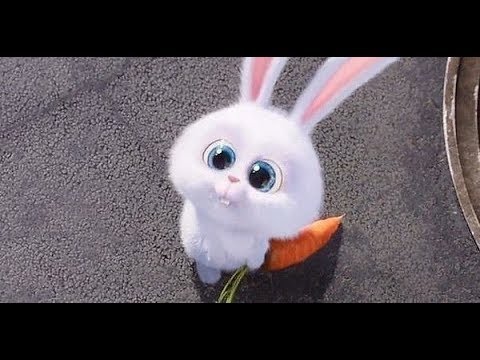 Мультфильм про зайчика и морковку