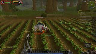 How to do Princess Must Die! quest - World of Warcraft