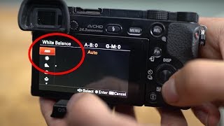 White Balance EASY EXPLAINED - Photography Beginner Tutorial - Jaworskyj