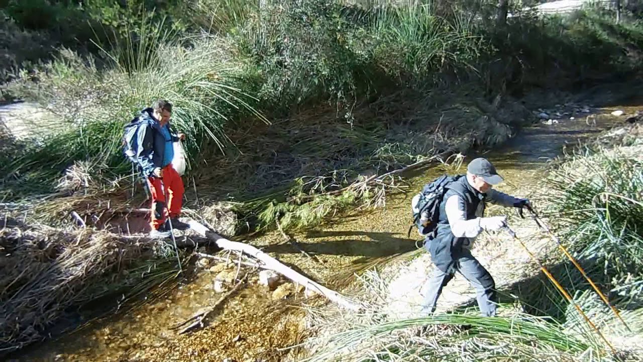 BARRANCO DE HONDARES, PINAR DE NAVARRO, RÍO ALHÁRABE ...