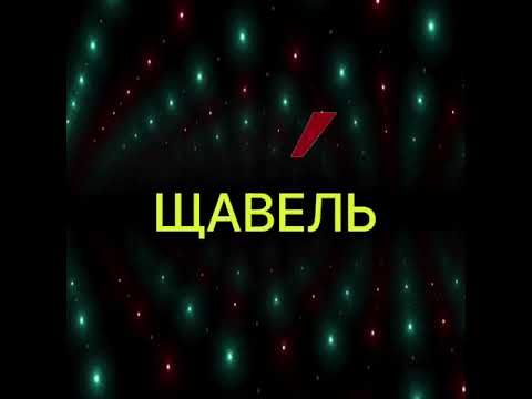 ТЕСТ «УДАРЕНИЕ В СЛОВАХ» (11 слов)