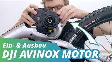 Motorwechsel am Amflow PL Carbon mit DJI Avinox | Tutorial🔧