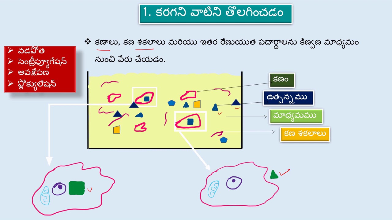 Downstream processing (telugu medium) YouTube