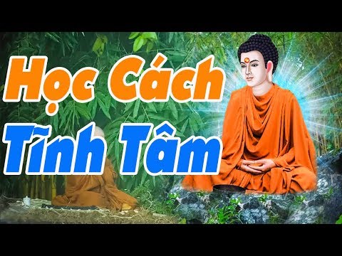 HỌC CÁCH TĨNH TÂM thì trí tuệ càng cao để cuộc sống thanh thản giác ngộ