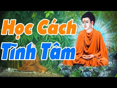 Tịnh Tâm Nghĩa Là Gì - HỌC CÁCH TĨNH TÂM thì trí tuệ càng cao để cuộc sống thanh thản giác ngộ