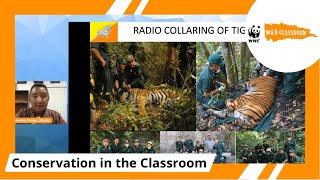 Studying Tigers in Bhutan by WWF Wild Classroom 754 views 2 years ago 46 minutes