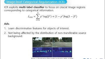 Exploring Categorical Regularization for Domain Adaptive Object Detection