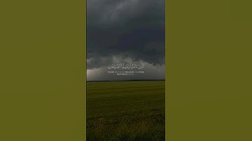 #تلاوة_هادئة #القارئ #علي_جابر