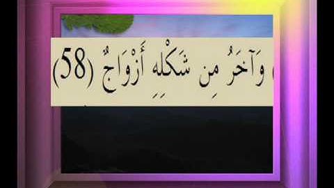 القرآن الكريم سورة ص الأية 58