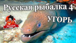 Русская рыбалка 4 Угорь старый острог