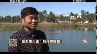 20150319 致富经 “圣女果大王”的传奇财富