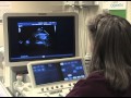 What Is a Fetal Echochardiogram Test?
