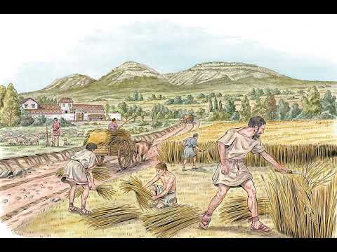 Перші стани: народжені із зерна, віддані силою