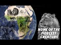 The Black continent 🌍🐘🦒