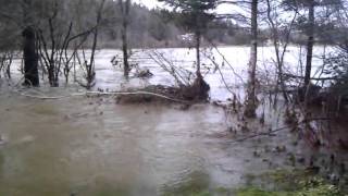 Back yard flooding