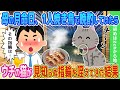【2ch馴れ初め】母の月命日、1人焼き鳥で晩酌していたら→ウチの猫が見知らぬ指輪をくわえてきた結果…【ゆっくり】
