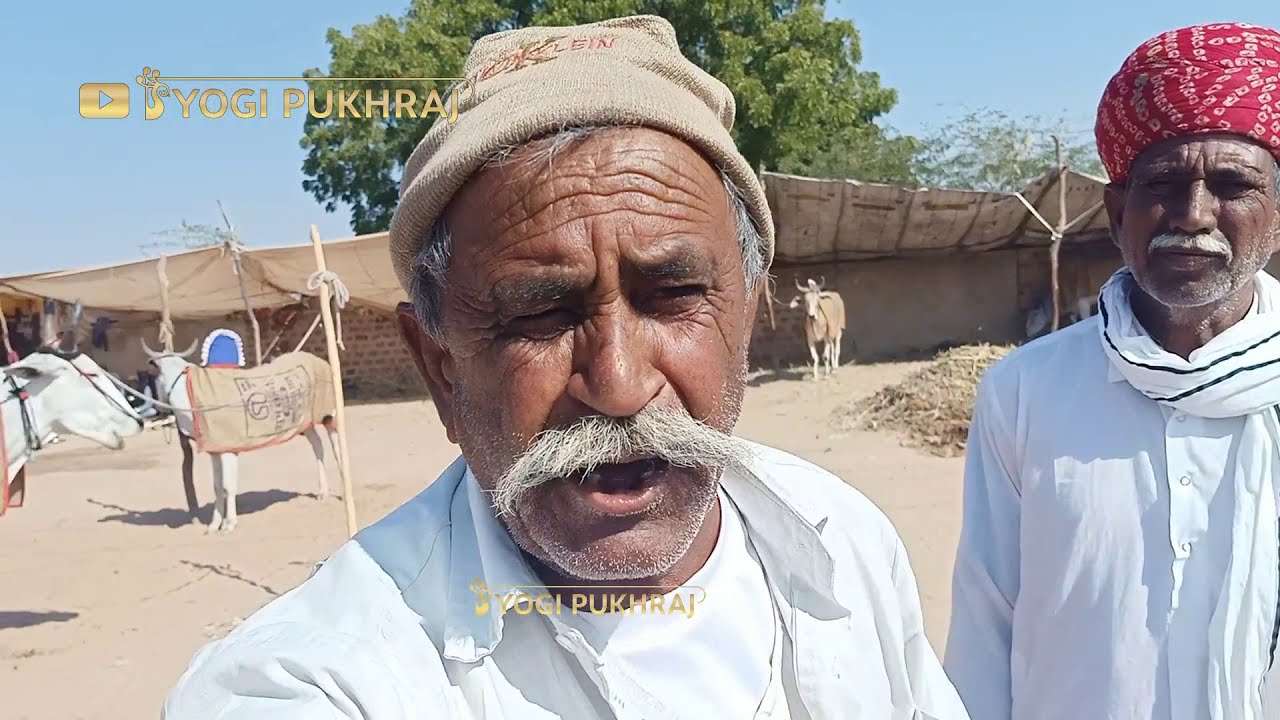 सब झूठे  ये थी नागौर रामदेव मेले की परंपरा || Ramdev pashu mela nagour Rajasthan 2021