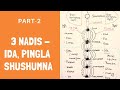 3 fundamental nadis  ida pingala and sushumna meaning difference and relation with chakras