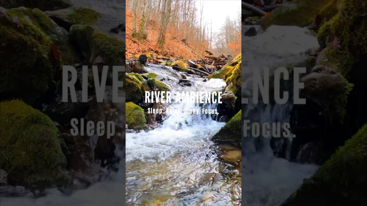 Find Your Flow, Life Always Moves On 💦 Relaxing Water White Noise 🌊 Flowing River Ambience 