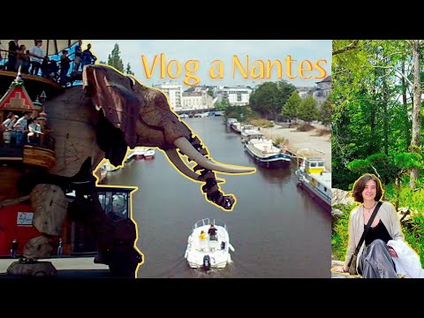 Vlog a Nantes | lulu 0293 ft.Cámara de mi comunión