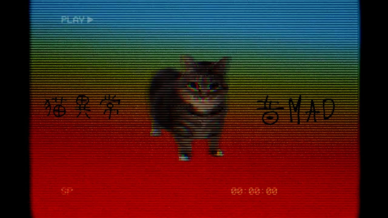 猫異常【  音MAD  】