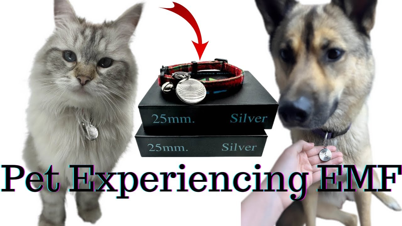 The EMF Defense Pet Pendant- Customer Reviews