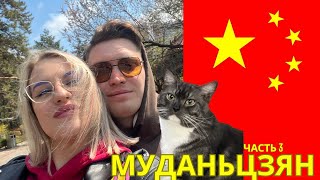 Муданьцзян • Контактное кафе с котятами и мини-пигами • Бесплатный зоопарк • Парк  - Часть 3