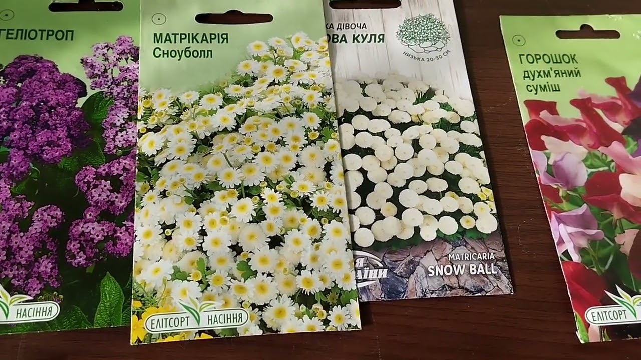 Огляд насіння квітів на 2026 рік@ 2 частина.