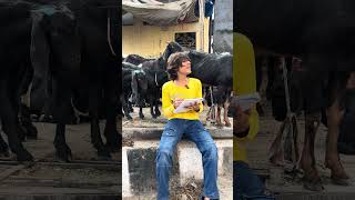 Bakra Mandi 🤣🤣 #shorts #viral #funny #bakra #bakraeid #youtubeshorts #shortsfeed #TeamRoyals05