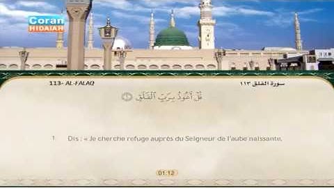 Sourate Al-Falaq | Mohamed Ayoub (113) سورة الفلق | محمد أيوب