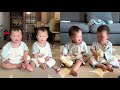 Cute Identical Twins |  Good Dad Taking Care of Twins 👶👶