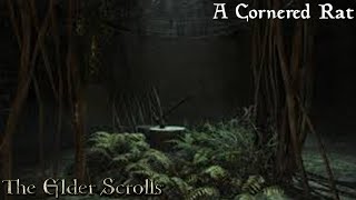 Elder Scrolls, The (Longplay/Lore) - 0419: A Cornered Rat (Skyrim)