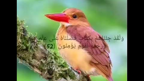 سورة الأعراف صفحة 157 مكررة بصوت الشيخ أيمن سويد