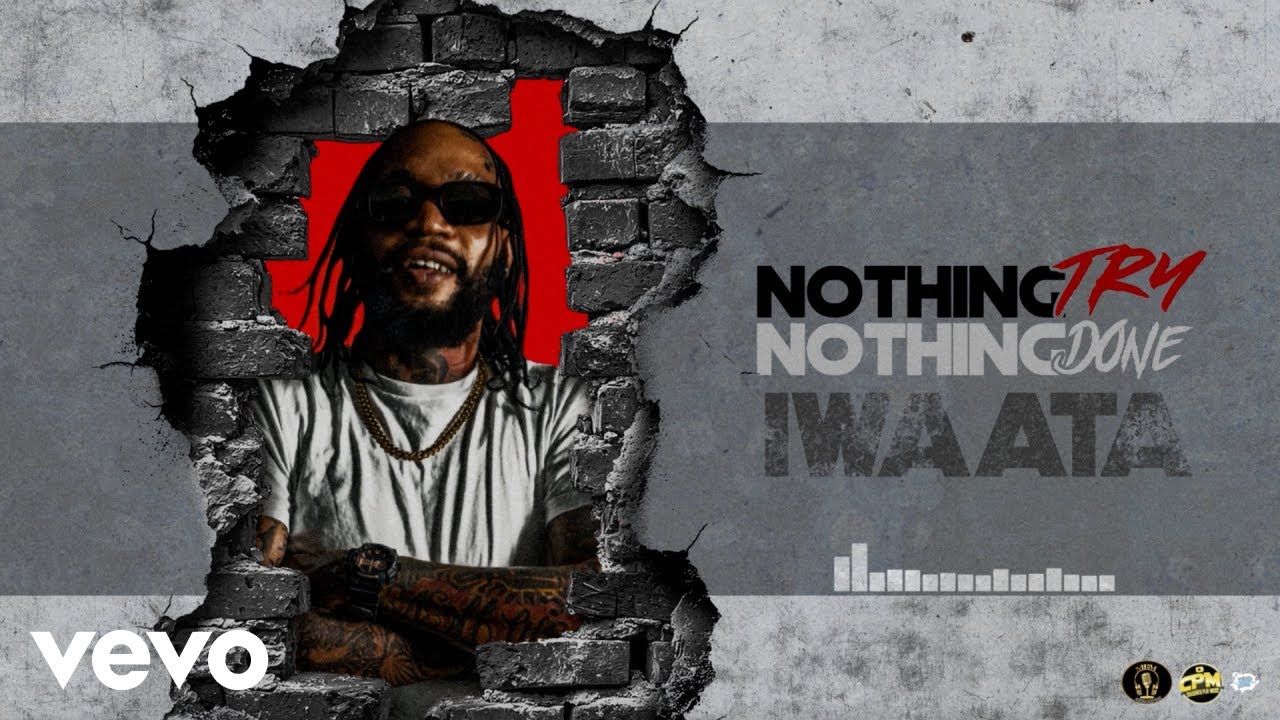 IWaata - Nothing Try Nothing Done (Official Audio)