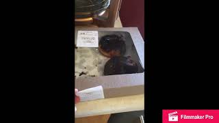 Walmart and Kesslers grocery haul 5-14-2021