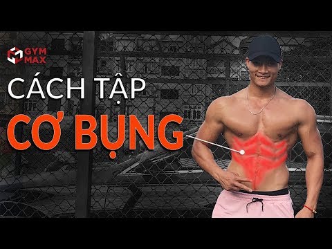 Video TẬP BỤNG CHO NGƯỜI MỚI BẮT ĐẦU - BÀI TẬP BỤNG HIỆU QUẢ... - youtube