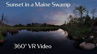 Relax at Sunset with the Birds and Peepers  360° Video #peepers #naturesounds #360video