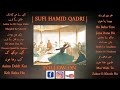 Mai wahi to zahur e khuda hu  status by sufi hamid qadri