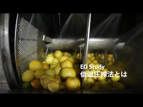 EO Study：低温圧搾法とは