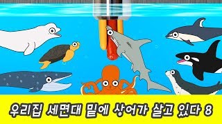 Sharks live under the wash basin 8, sea animals story, shark and whale namesㅣCoCosToy