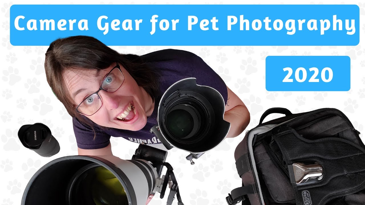 Camera Gear for Pet Photography 2020 YouTube