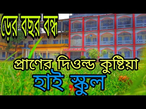 ভিডিও: দিওল্ড টুল: পর্যালোচনা, সুবিধা এবং অসুবিধা