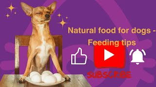 Natural food for dogs  Feeding tips | Alimento natural para perros  Consejos de alimentación