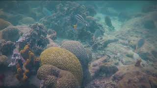 Parque Nacional Mochima screenshot 5
