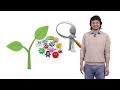 Sheng-Yang He (Michigan State U. and HHMI) 1: Introduction to Plant-Pathogen Interactions
