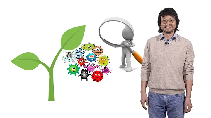 Sheng-Yang He (Michigan State U. and HHMI) 1: Introduction to Plant-Pathogen Interactions - DayDayNews