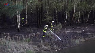 Amt Döbern-Land: Waldbrand - LAUSITZWELLE